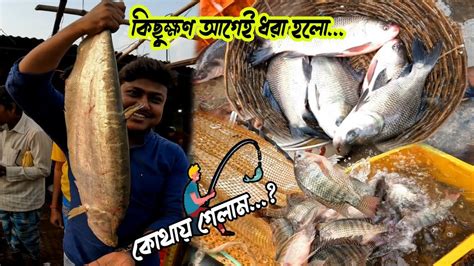 পশ্চিমবঙ্গের বিশাল বড়ো মাছের আড়ত Kharibari Fish Market 2023 Low