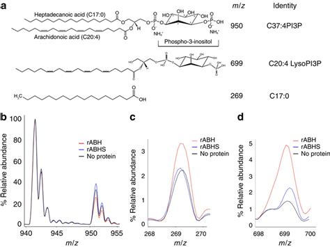 Abh Is A Ptdins P Specific Pla A Molecular Structures Of