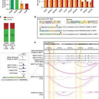 SNVs Associate With Loss Of CTCF Binding And Loss Of Interactions A