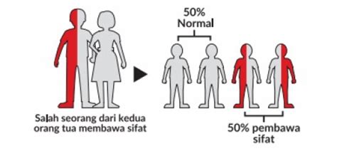 Galeri DINAS KESEHATAN PROVINSI DKI JAKARTA