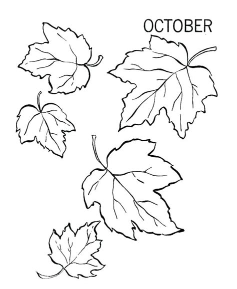 Thanksgiving Leaves Coloring Pages at GetColorings.com | Free printable colorings pages to print ...