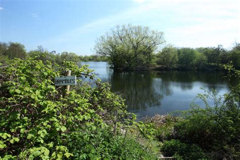 Mets Lake Thorney Weir Carpworld™