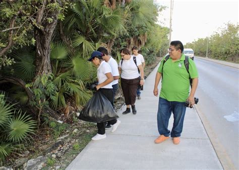 Limpian JÓvenes El Manglar Para Revitalizarlo En El Acceso A Puerto Morelos Comunicación