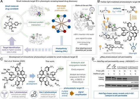 Small Molecule Photocatalysis Enables Drug Target Identification Via