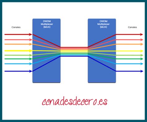 Funciones De Wan Ccna Desde Cero