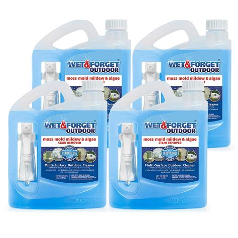 Wet And Forget Outdoor Moss Mold Mildew And Algae Stain Remover Multi Surface Cleaner Ready To