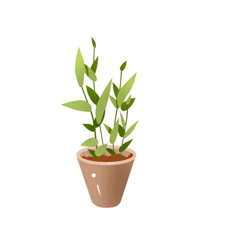 Plantas En Macetas Png Planta Maceta Hoja Verde Png Y Psd Para