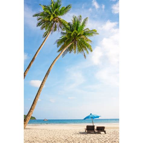 Bay Isle Home Tropical White Sand By Preto Perola Wrapped Canvas