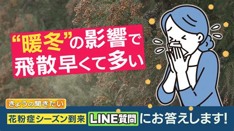 暖冬の影響か『花粉症』早まる すでに4割の人に症状が鼻うがい・花粉対策メガネは効果的【医師が解説】 特集 ニュース 関西テレビ放送 カンテレ