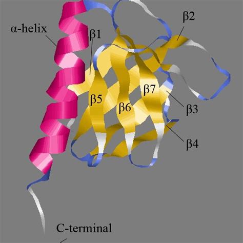 The N Terminal Ph Domain Of Pleckstrin The Consensus Characteristics