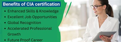 Cia Certification Internal Audit Certification Course