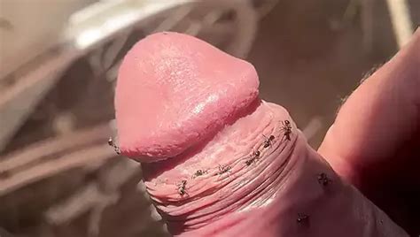 Cachuli Gay Porn Videos Sex Model Nudes XHamster