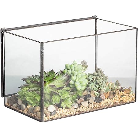 Amazon Ferrisland Glass Terrarium Modern Geometric Succulent