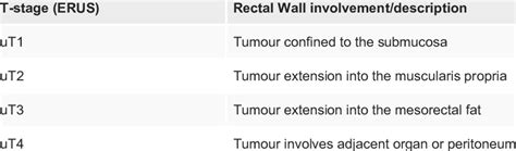 T Staging Of Rectal Cancer For Magnetic Resonance Imaging T1 T4b