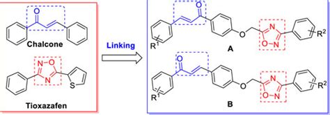 Frontiers Design Synthesis And Biological Activity Of Novel