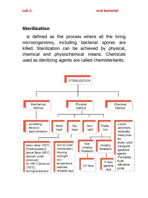 Sterilization | PDF