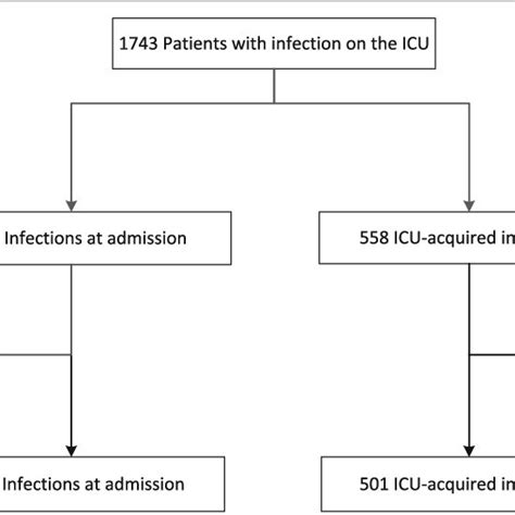 Flowchart Icu Intensive Care Unit Download Scientific Diagram