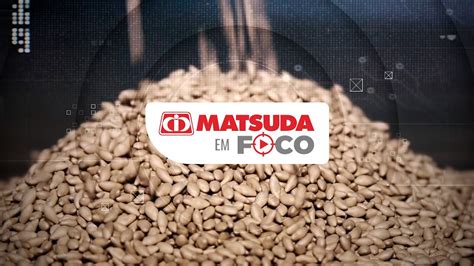 Matsuda Em Foco L Porque Usar Sementes De Pastagens Tecnologia