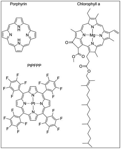 Structural Similarities Of Porphyrin Chlorophyll A And The Oxygen