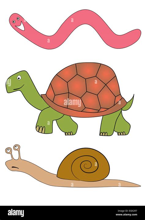 tortoise, snail and worm - slow animals Stock Photo - Alamy