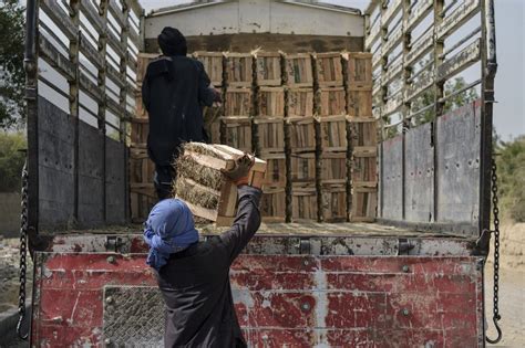 پاکستان ہائی رسک‘ ممالک کی فہرست سے باہر، یورپی منڈی تک رسائی‘ Urdu