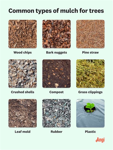 Garden Mulches Types | Fasci Garden