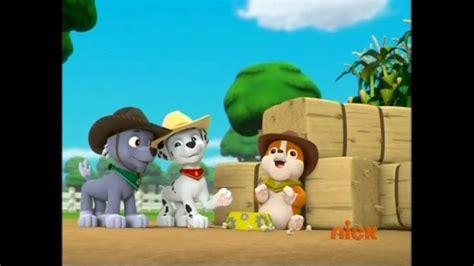 Rocky Gallery Pups Save The Corn Roast Paw Patrol Wiki Fandom