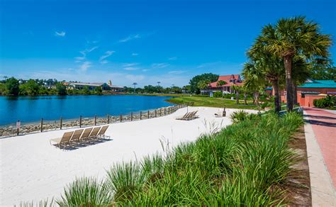 Review, Photos & Video: New Little Mermaid Rooms at Disney's Caribbean Beach Resort - Disney ...