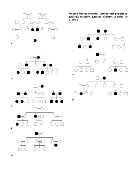 Pedigree Practice Worksheet Answers