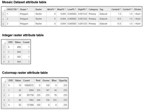 Raster Dataset Attribute Tables—arcgis Pro Documentation