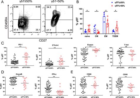 Interindividual γδT cell immune phenotypic heterogeneity after