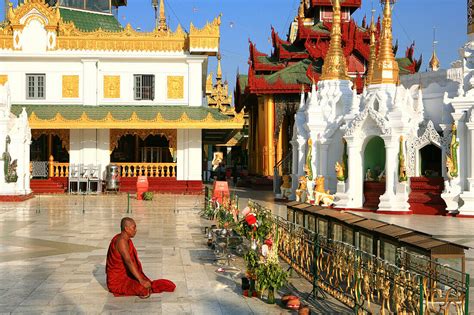 Praying Buddhist Monk At The Shwedagon License Image 70241617