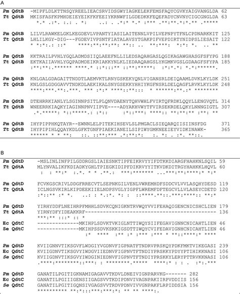 Amino Acid Sequence Alignment Of The P Multocida Pm Qui3nac Download Scientific Diagram