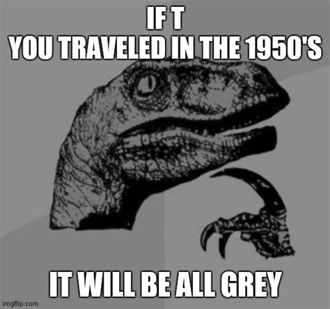 Grey Philosoraptor Imgflip