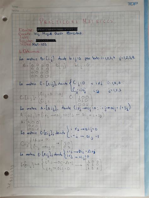 Solution Pr Ctico De Matrices Studypool