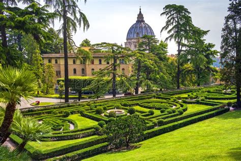 Visão Panorâmica Da Cidade Roma Vaticana Itália Peterrsquo S Basilica