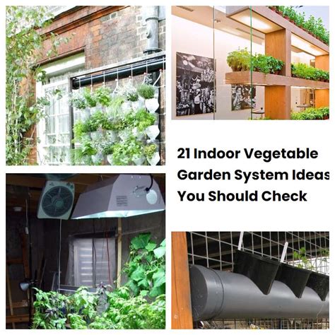 21 Indoor Vegetable Garden System Ideas You Should Check Sharonsable