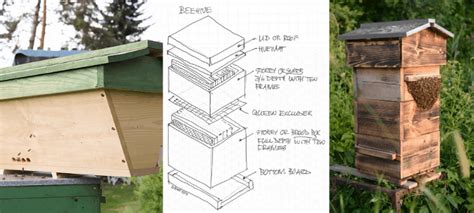 Most Popular Beehive Types Explained Langstroth Warre Top Bar