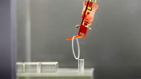 New Biohybrid Robot Uses Living Muscle Tissue To Move A Finger