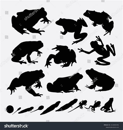 Frog Vector Silhouette Images Browse 8 698 Stock Photos Vectors Free