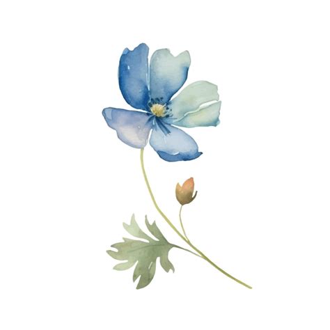 Aquarell Blumen Pflanzen Illustration Premium Vektor