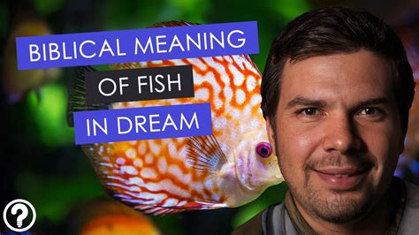 Biblical Meaning Of Fish In Dream Fish Dream Interpretation Youtube