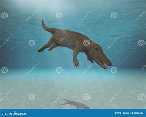 Ambulacetus Extinct Ancestor Of Whales Royalty Free Cartoon