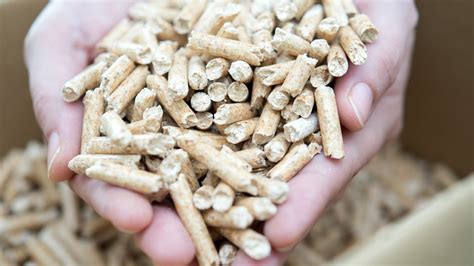 Pelletspreise Der Preis Pro Tonne Holzpellets Am November