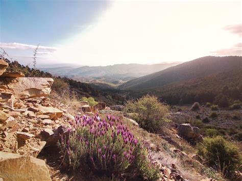 Um paraíso natural no topo do pico el rayo descubra a exuberante