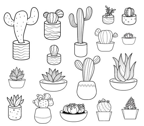 набор кактусов кактус график линии искусства каракули иллюстрации ...