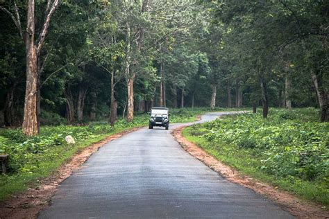 Nagarhole National Park 2025 Tiger Reserve Wildlife Sanctuary