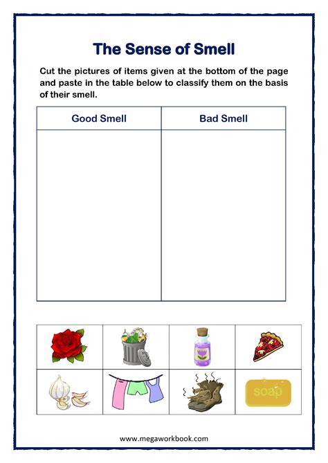 Five Senses Worksheets For Preschool And Kindergarten Megaworkbook