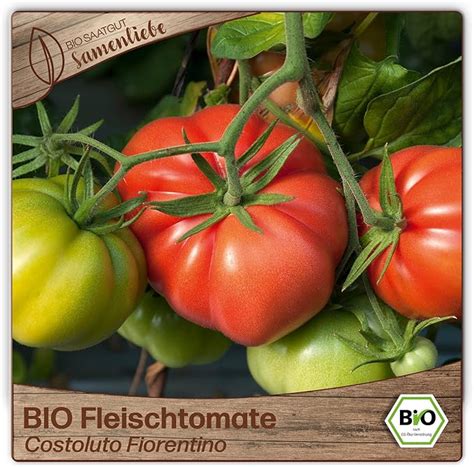 Samenliebe Bio Fleischtomaten Samen Alte Sorte Costoluto Fiorentino