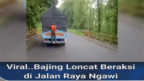 Viral Bajing Loncat Beraksi Di Jalan Raya Ngawi Youtube